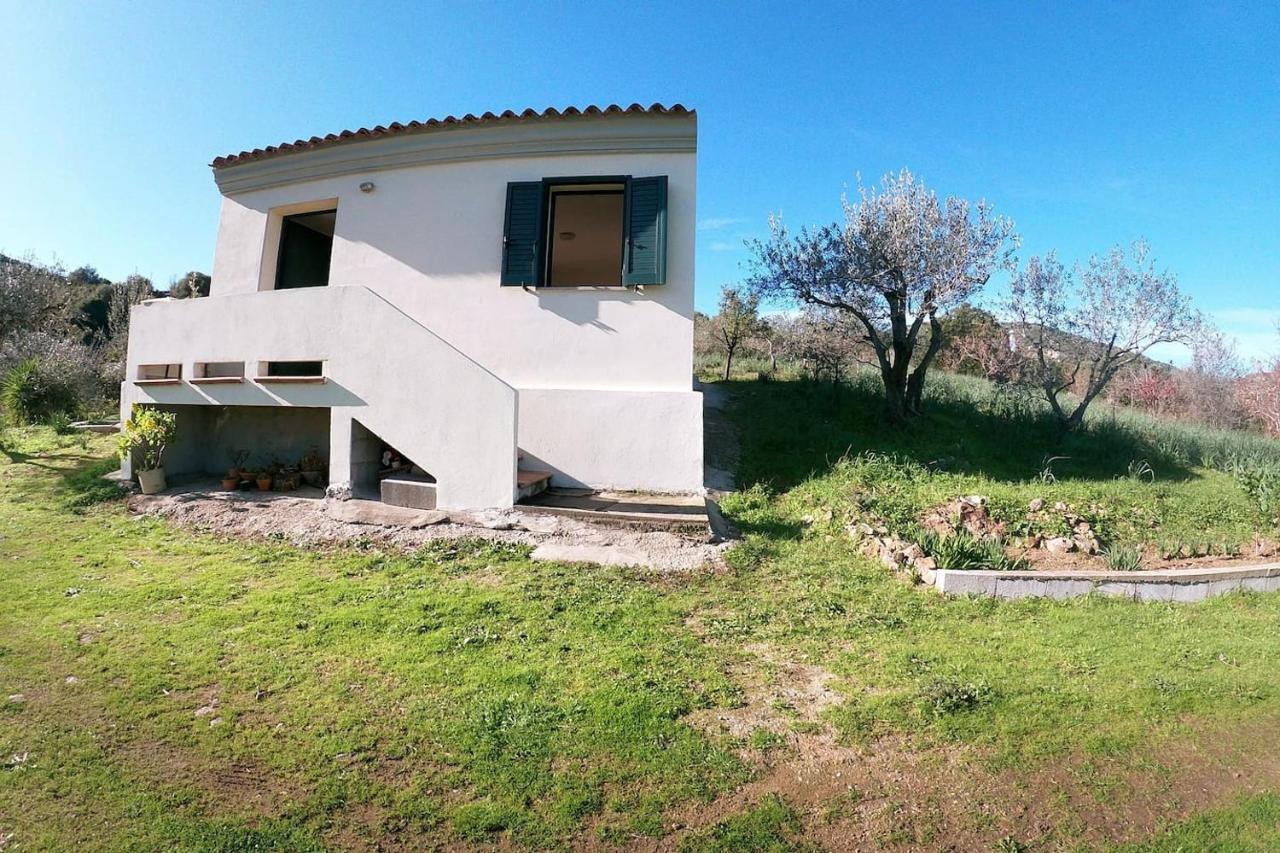 Villa Ulivella Schifoni Exterior photo